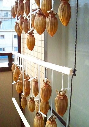 干し柿(覚え書き)-レシピのメイン写真
