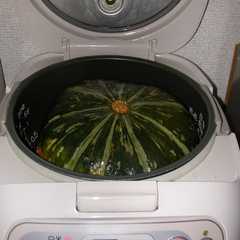 รูปของ 何てこった☆かぼちゃサマ