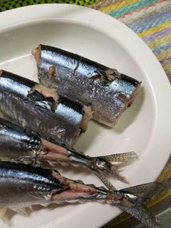 湯煮(魚のお湯煮)-レシピのメイン写真
