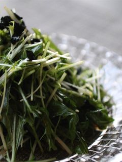 水菜の焼き海苔サラダ-レシピのメイン写真