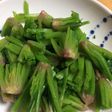 ほうれん草、使いきろう(≧∇≦)