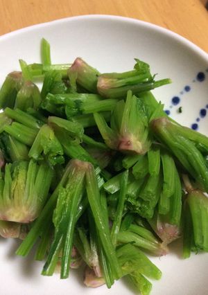 ほうれん草、使いきろう(≧∇≦)-レシピのメイン写真