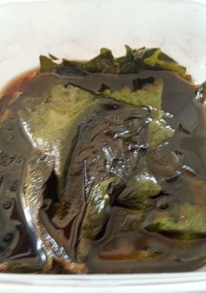 青しそのニンニク醤油漬け-レシピのメイン写真
