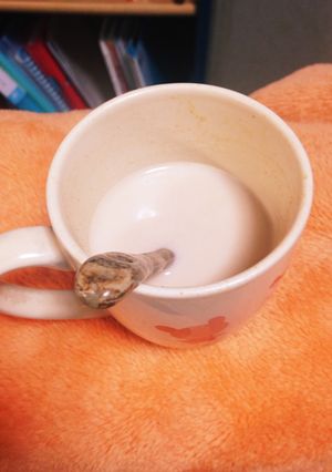あったかとろ〜り♪きなこみるく-レシピのメイン写真