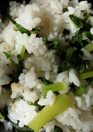 大根の葉de♡簡単!菜めし-レシピのメイン写真