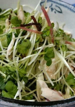 貝割れとささみのサラダ-レシピのメイン写真