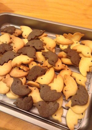 たった4つの材料でてきるサクサククッキー-レシピのメイン写真