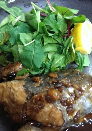 超簡単!大人気旨っ!鰆のこってり蒲焼き-レシピのメイン写真