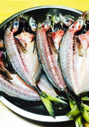 アジの一夜干し-レシピのメイン写真