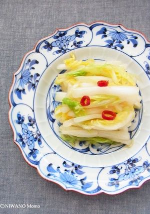 ラーパーツァイ（白菜の中華風甘酢漬け）-レシピのメイン写真