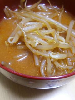 もやしの辛いスープε-(´∀`; )-レシピのメイン写真