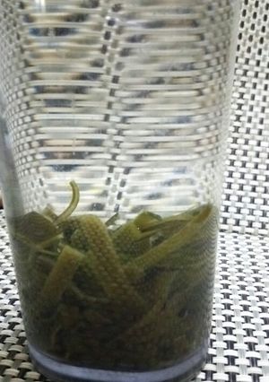 簡単!便利!水出し昆布出汁-レシピのメイン写真