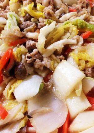 白菜と豚肉の白だしみぞれ煮-レシピのメイン写真