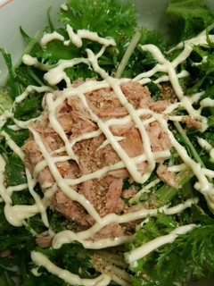 簡単ワサビ菜&水菜サラダ(๛ ˘ ³˘)-レシピのメイン写真
