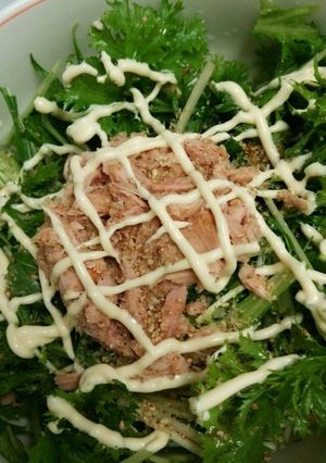簡単ワサビ菜＆水菜サラダ(๛ ˘ ³˘)-レシピのメイン写真