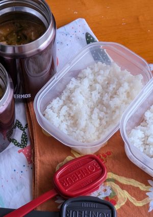 お弁当2025年8月22日-レシピのメイン写真