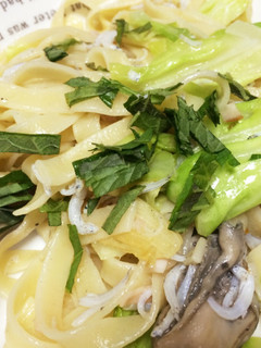 牡蠣とキャベツとしらすのパスタ-レシピのメイン写真