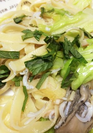 牡蠣とキャベツとしらすのパスタ-レシピのメイン写真
