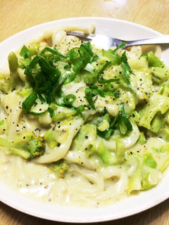 ブロッコリーとキャベツの豆乳うどん-レシピのメイン写真