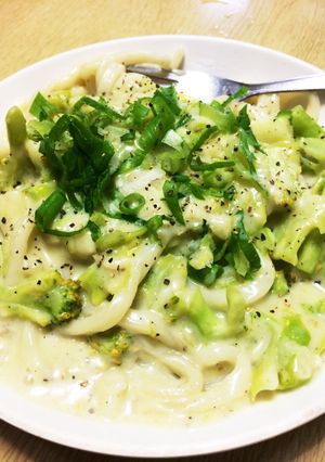 ブロッコリーとキャベツの豆乳うどん-レシピのメイン写真