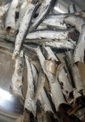 味噌汁の出汁（松小５）-レシピのメイン写真