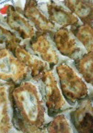 やみつき!ゴーヤ餃子-レシピのメイン写真