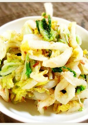 簡単やみつき白菜のごま和え-レシピのメイン写真