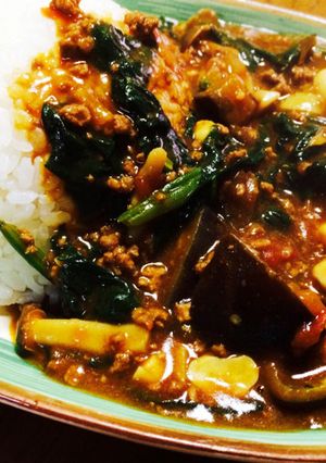 野菜たっぷりカレー♪-レシピのメイン写真