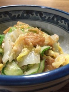 白菜となめたけのあっさりサラダ-レシピのメイン写真