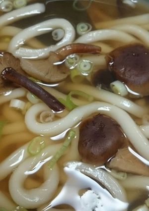 ナラタケ（ボリボリ）うどん-レシピのメイン写真