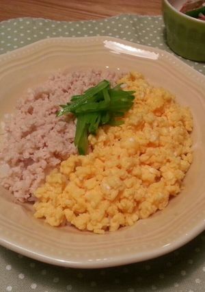 塩糀&玄米熟成糀のそぼろ丼-レシピのメイン写真