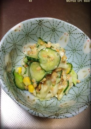 納豆大好き☆納豆サラダ-レシピのメイン写真