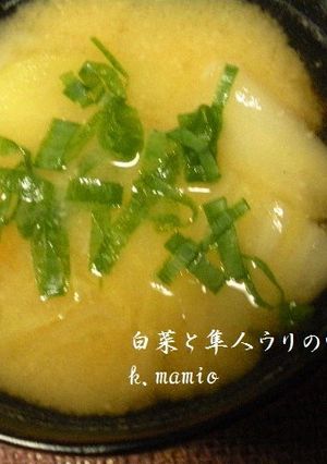 白菜と隼人ウリの味噌汁-レシピのメイン写真