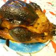照り焼き風 ジューシー七面鳥とおこわ♪
