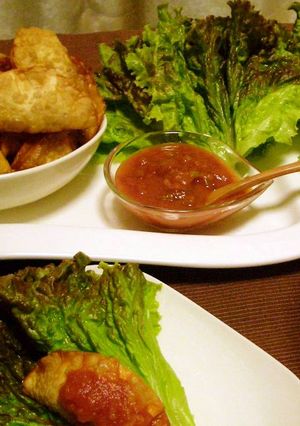 ＴＡＣＯ餃子-レシピのメイン写真