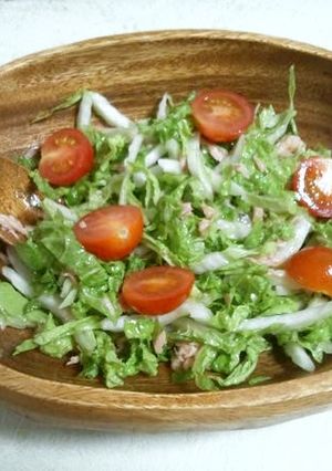 混ぜるだけ。白菜とシーチキンのツナサラダ-レシピのメイン写真
