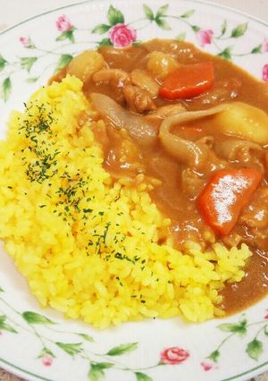 ココナッツミルク万歳♪チキンカレー-レシピのメイン写真