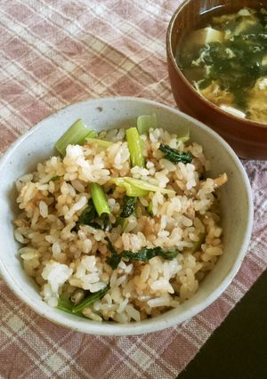 小松菜と鯖缶で!簡単1人の時のズボラ飯☆-レシピのメイン写真
