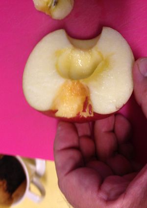 包丁苦手でもリンゴを食べよう-レシピのメイン写真