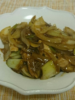 青椒牛肉味 豚肉とネギの炒め物-レシピのメイン写真