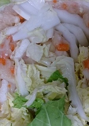 鳥ひき肉と白菜の重ね煮-レシピのメイン写真