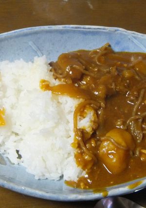 肉じゃがカレー-レシピのメイン写真