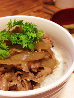 お家で簡単牛丼☆-レシピのメイン写真