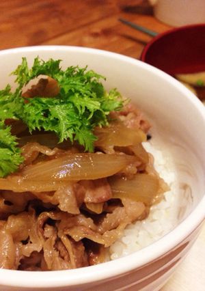 お家で簡単牛丼☆-レシピのメイン写真