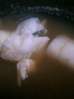 大根おろし煮-レシピのメイン写真