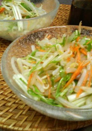 すぐ１品！水菜モヤシのシャキシャキナムル-レシピのメイン写真
