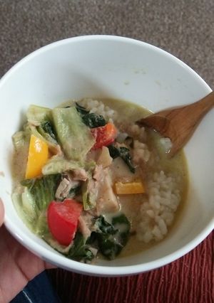 野菜たっぷりお手軽グリーンカレー-レシピのメイン写真