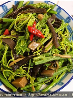 黑木耳辣炒龍鬚菜.柯媽媽の植物燕窩-レシピのメイン写真