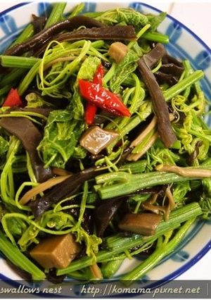 黑木耳辣炒龍鬚菜.柯媽媽の植物燕窩-レシピのメイン写真