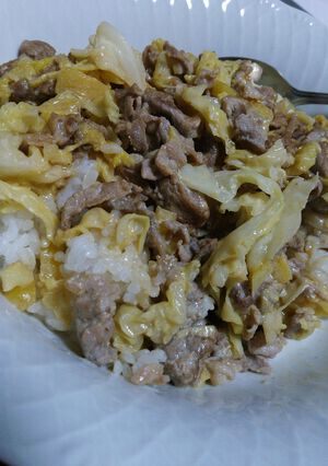 ずぼらなキャベツと豚肉丼-レシピのメイン写真